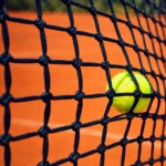 Red Tenis Profesional - P/doble - Enmarcada - C/acero -2.5
